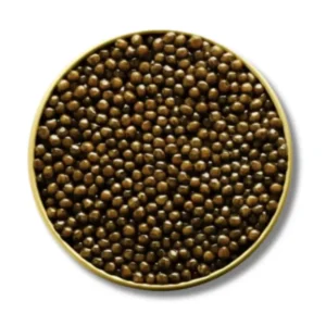 Kaluga Hybrid Caviar